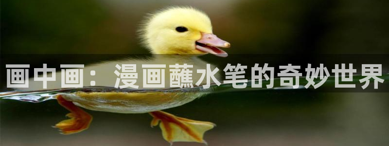 香蕉文化—漫画小说更新