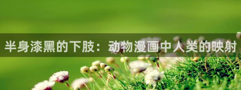 香蕉文化小说漫画更新都很快