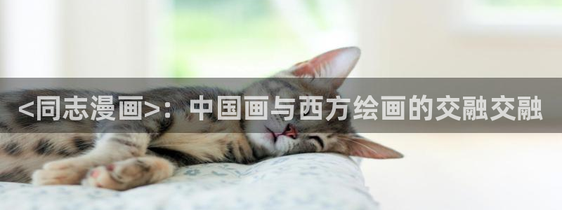 香蕉漫画网页入口